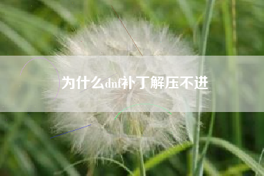 为什么dnf补丁解压不进