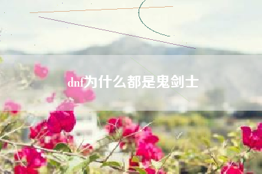 dnf为什么都是鬼剑士