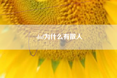 dnf为什么有散人