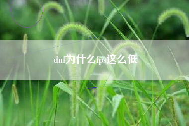dnf为什么fps这么低