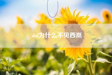 dnf为什么不见西岚