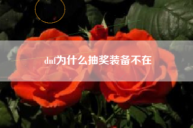 dnf为什么抽奖装备不在