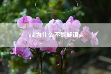 dnf为什么不能城镇pk