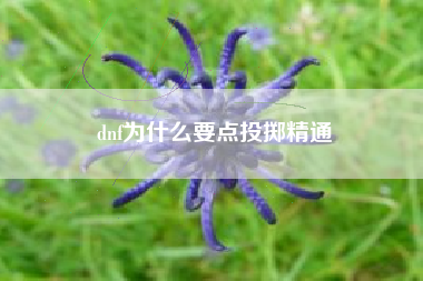 dnf为什么要点投掷精通