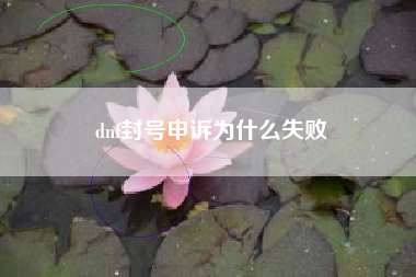 dnf封号申诉为什么失败