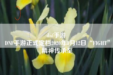 dnf手游 
DNF手游正式定档2020年8月12日“FIGHT”精神传承至