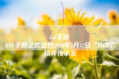 dnf手游 
DNF手游正式定档2020年8月12日“FIGHT”精神传承至