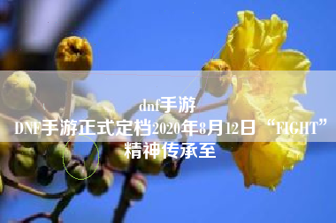 dnf手游 
DNF手游正式定档2020年8月12日“FIGHT”精神传承至
