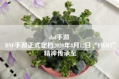 dnf手游 
DNF手游正式定档2020年8月12日“FIGHT”精神传承至