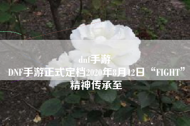 dnf手游 
DNF手游正式定档2020年8月12日“FIGHT”精神传承至