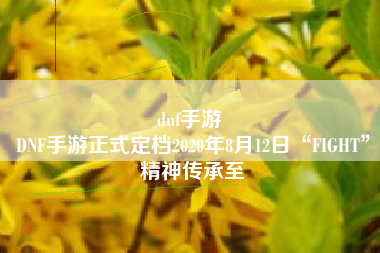 dnf手游 
DNF手游正式定档2020年8月12日“FIGHT”精神传承至