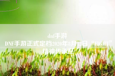 dnf手游 
DNF手游正式定档2020年8月12日“FIGHT”精神传承至