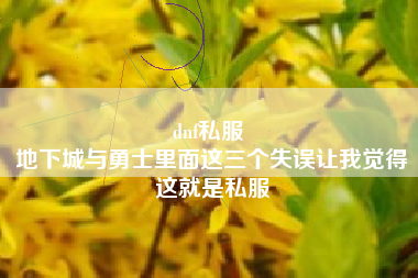 dnf私服 
地下城与勇士里面这三个失误让我觉得这就是私服