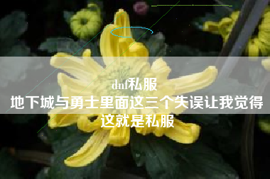 dnf私服 
地下城与勇士里面这三个失误让我觉得这就是私服