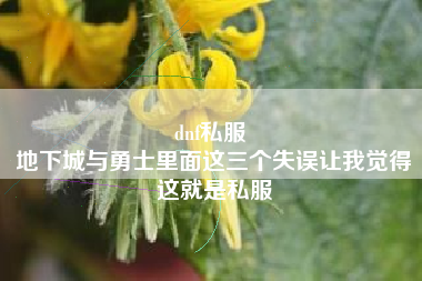 dnf私服 
地下城与勇士里面这三个失误让我觉得这就是私服