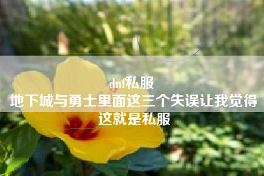 dnf私服 
地下城与勇士里面这三个失误让我觉得这就是私服