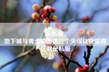dnf私服 
地下城与勇士里面这三个失误让我觉得这就是私服