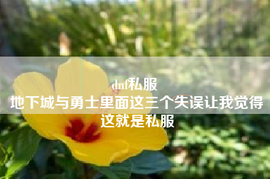 dnf私服 
地下城与勇士里面这三个失误让我觉得这就是私服