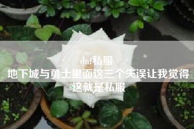 dnf私服 
地下城与勇士里面这三个失误让我觉得这就是私服