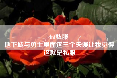 dnf私服 
地下城与勇士里面这三个失误让我觉得这就是私服