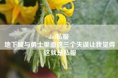 dnf私服 
地下城与勇士里面这三个失误让我觉得这就是私服