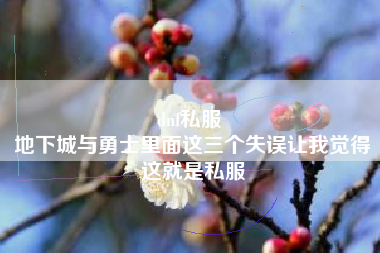 dnf私服 
地下城与勇士里面这三个失误让我觉得这就是私服
