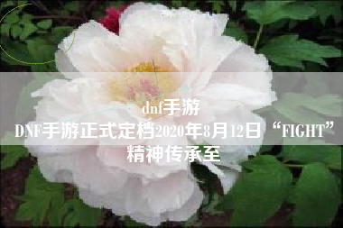 dnf手游 
DNF手游正式定档2020年8月12日“FIGHT”精神传承至