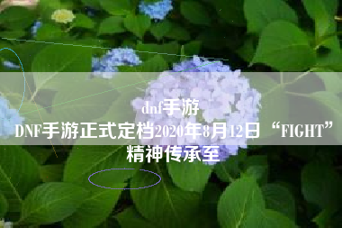 dnf手游 
DNF手游正式定档2020年8月12日“FIGHT”精神传承至
