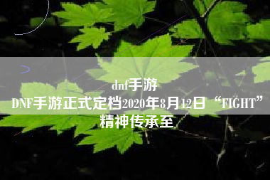 dnf手游 
DNF手游正式定档2020年8月12日“FIGHT”精神传承至
