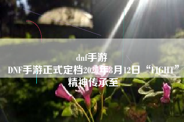 dnf手游 
DNF手游正式定档2020年8月12日“FIGHT”精神传承至