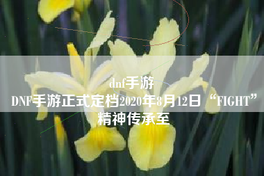 dnf手游 
DNF手游正式定档2020年8月12日“FIGHT”精神传承至