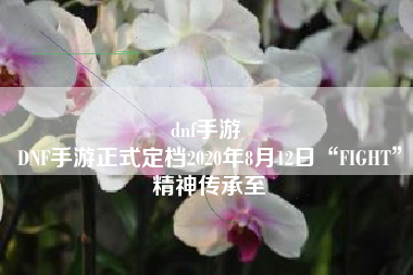 dnf手游 
DNF手游正式定档2020年8月12日“FIGHT”精神传承至