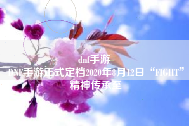 dnf手游 
DNF手游正式定档2020年8月12日“FIGHT”精神传承至