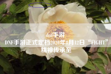 dnf手游 
DNF手游正式定档2020年8月12日“FIGHT”精神传承至