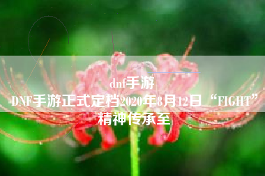 dnf手游 
DNF手游正式定档2020年8月12日“FIGHT”精神传承至