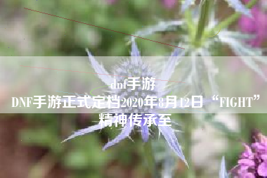 dnf手游 
DNF手游正式定档2020年8月12日“FIGHT”精神传承至