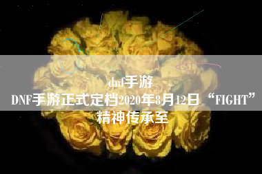 dnf手游 
DNF手游正式定档2020年8月12日“FIGHT”精神传承至