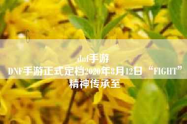 dnf手游 
DNF手游正式定档2020年8月12日“FIGHT”精神传承至