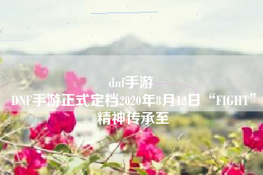 dnf手游 
DNF手游正式定档2020年8月12日“FIGHT”精神传承至