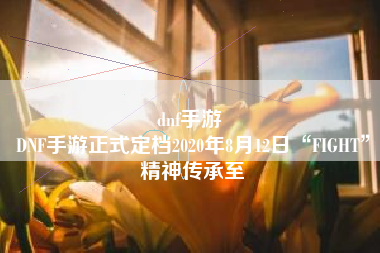 dnf手游 
DNF手游正式定档2020年8月12日“FIGHT”精神传承至