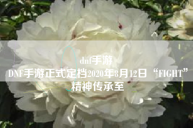 dnf手游 
DNF手游正式定档2020年8月12日“FIGHT”精神传承至