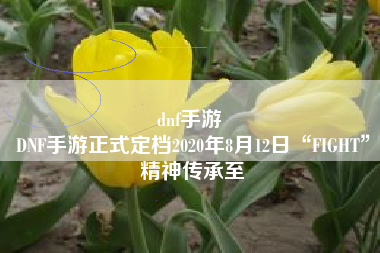 dnf手游 
DNF手游正式定档2020年8月12日“FIGHT”精神传承至