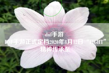 dnf手游 
DNF手游正式定档2020年8月12日“FIGHT”精神传承至
