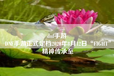 dnf手游 
DNF手游正式定档2020年8月12日“FIGHT”精神传承至