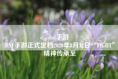 dnf手游 
DNF手游正式定档2020年8月12日“FIGHT”精神传承至