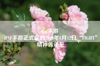 dnf手游 
DNF手游正式定档2020年8月12日“FIGHT”精神传承至