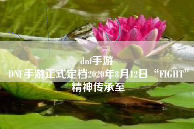 dnf手游 
DNF手游正式定档2020年8月12日“FIGHT”精神传承至