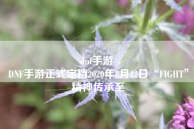 dnf手游 
DNF手游正式定档2020年8月12日“FIGHT”精神传承至