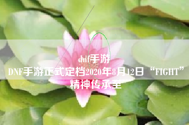 dnf手游 
DNF手游正式定档2020年8月12日“FIGHT”精神传承至