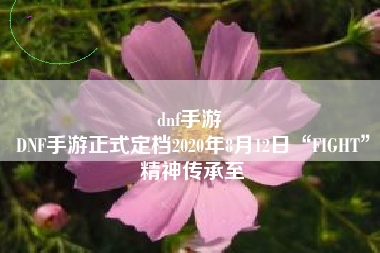 dnf手游 
DNF手游正式定档2020年8月12日“FIGHT”精神传承至